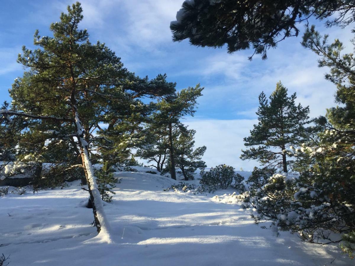 Villa Hoegbo Inio Buitenkant foto